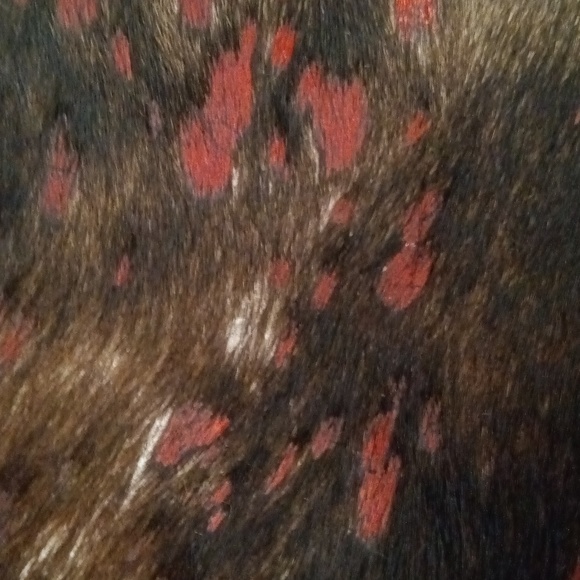 American Darling - Picture 5 of 5